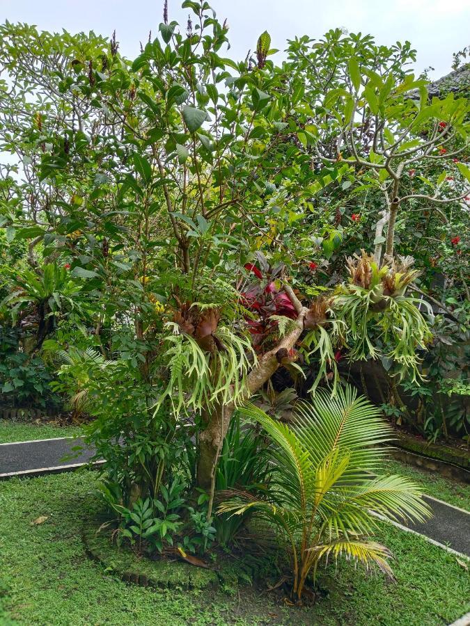 Bismajaya Bungalow Ubud Zewnętrze zdjęcie