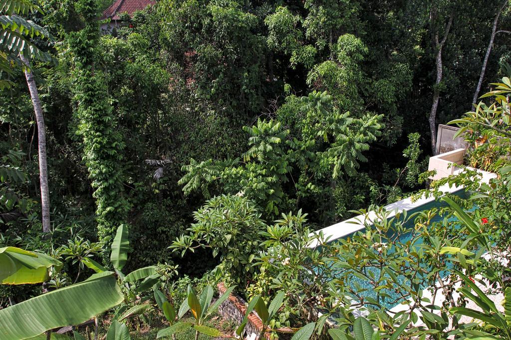 Bismajaya Bungalow Ubud Zewnętrze zdjęcie