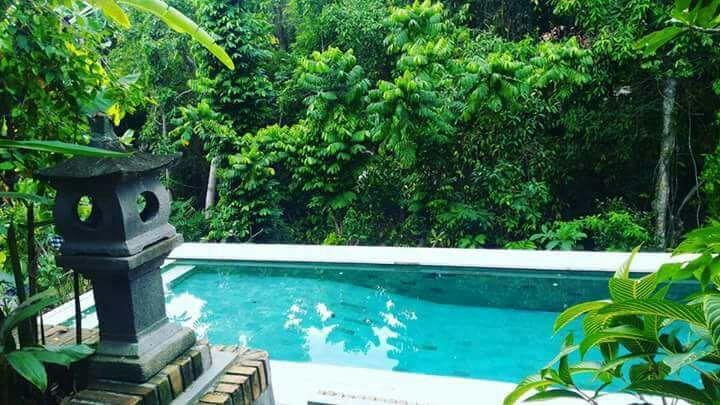 Bismajaya Bungalow Ubud Zewnętrze zdjęcie
