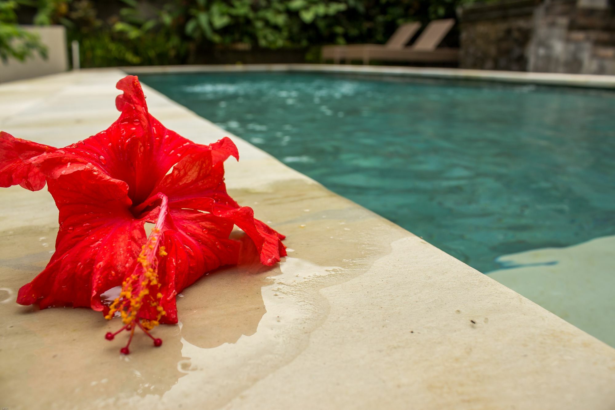 Bismajaya Bungalow Ubud Zewnętrze zdjęcie