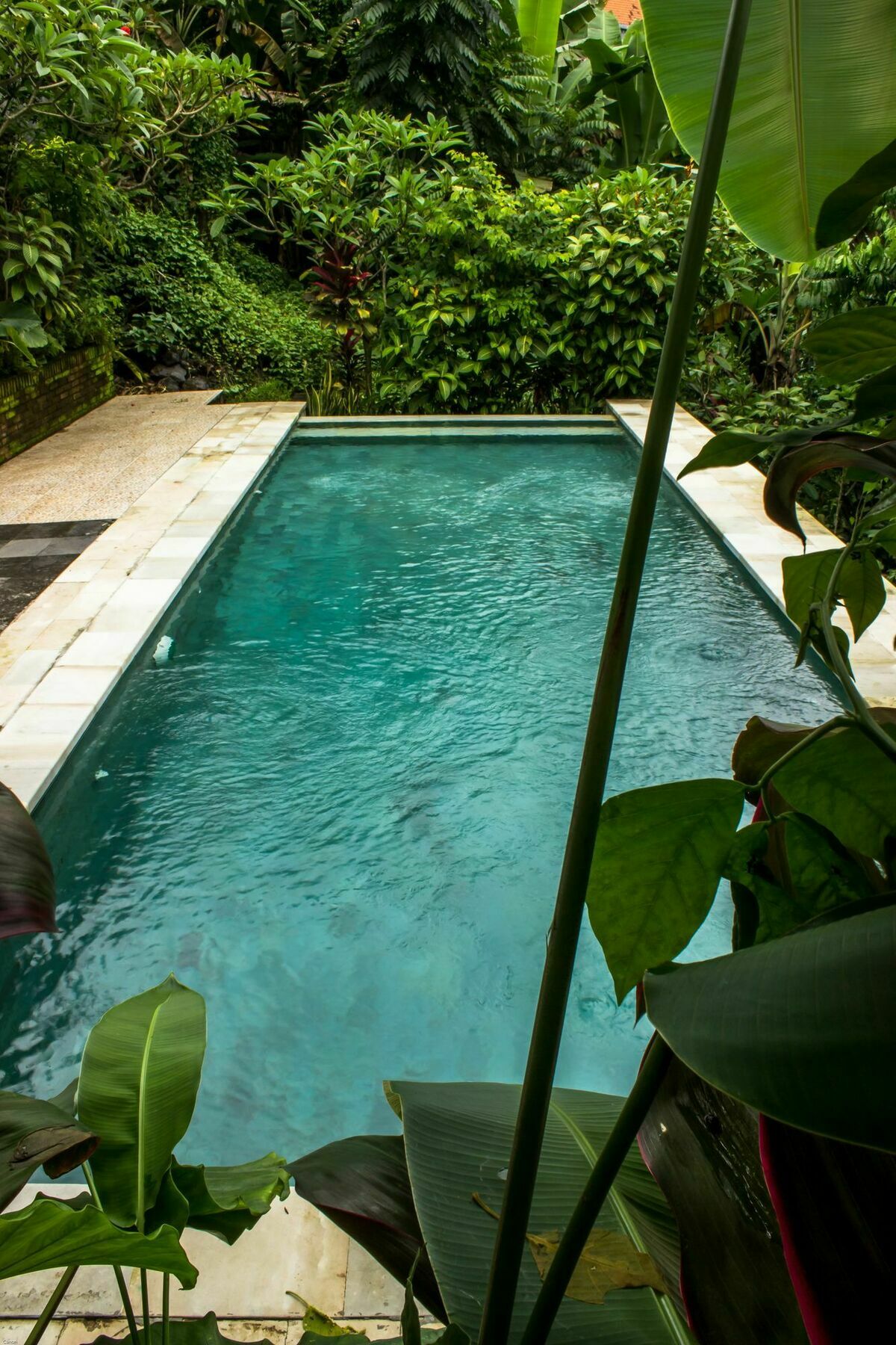 Bismajaya Bungalow Ubud Zewnętrze zdjęcie